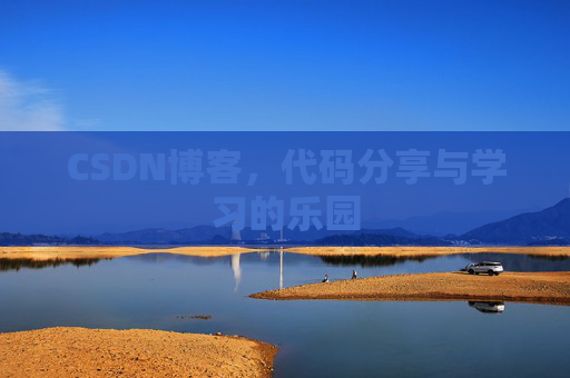 CSDN博客，代码分享与学习的乐园